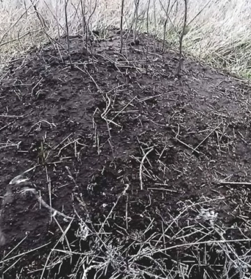 На півдні Одещини з’явилися незвичайні будинки