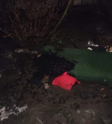 Вночі на Закарпатті виявили труп 49-річного чоловіка: що з ним сталося