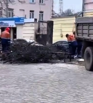 У Полтаві комунальники зрізали аварійні дерева
