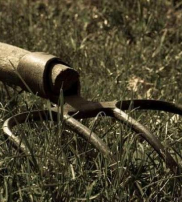 На Одещині літні чоловік та жінка побилися вилами