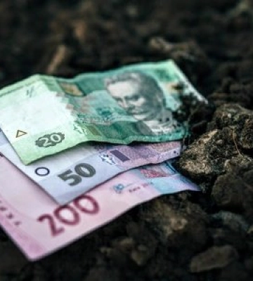 Вартість гектара землі в Закарпатті складає маже 50 тисяч гривень