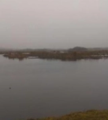 На річці Вижівка зростає рівень води