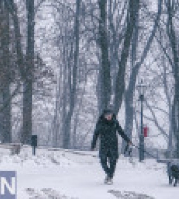Від 5° морозу до 7° тепла: прогноз погоди на сьогодні