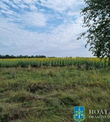 На Полтавщині підприємиця засіяла земельні ділянки, які їй сільська рада надала нібито для облаштування кладовища