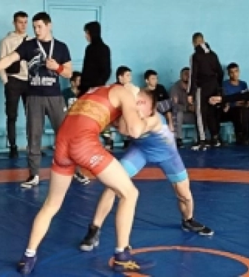Юні борці з Вараша – призери обласного чемпіонату
