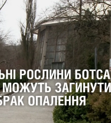 Унікальні рослини ботсаду Дніпра можуть загинути через брак опалення