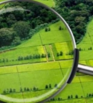 На Рівненщині припинили незаконне користування понад 700 гектарів землі