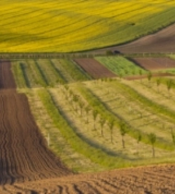 У власність держави повернули ділянку у Луцькому районі вартістю понад 18 мільйонів гривень