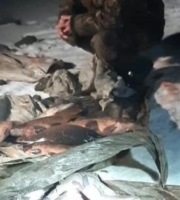 600 000 грн збитків — на Полтавщині судитимуть браконьєра за вилов риби у заказнику