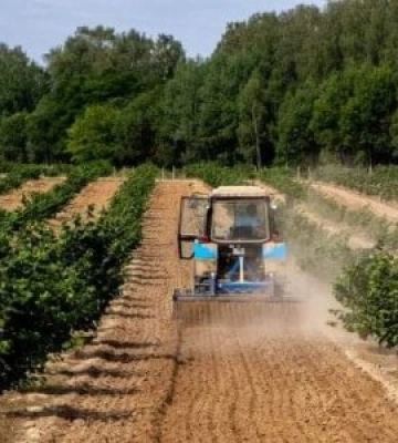 Закарпатські аграрії отримають понад 82 млн грн за програмою «єРобота»