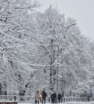 Зимова казка на Закарпатті: в мережі показали неймовірні кадри (ФОТО)