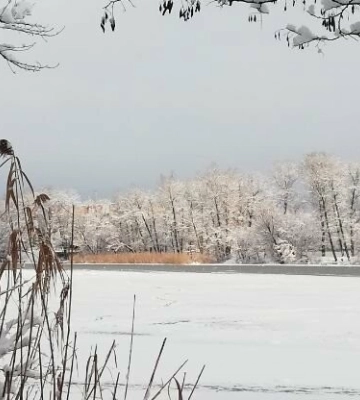 Погода у Полтаві 5 лютого