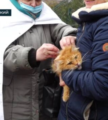 Через випадок сказу на Лелеківці проводять імунізацію тварин (відео)