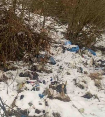 Екоінспектори виявили ще два випадки порушень у сфері поводження з відходами на Львівщині