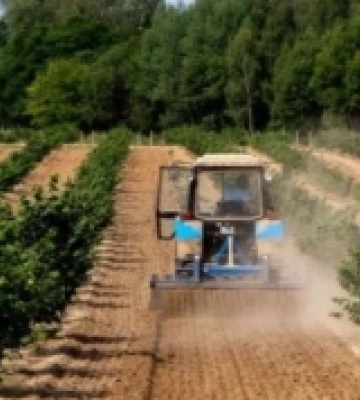 Закарпатські аграрії отримають понад 82 мільйона гривень за програмою «єРобота»