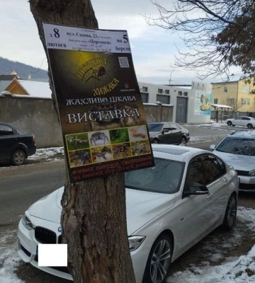 У Мукачівській громаді заборонено розміщувати рекламні матеріали у невстановлених місцях