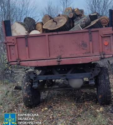 В Харьковской области браконьер нарубил леса на 300 тысяч гривен — прокуратура