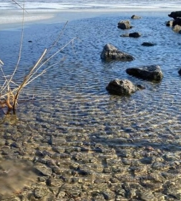 Эксперты объяснили, почему снизился уровень воды в Днепре