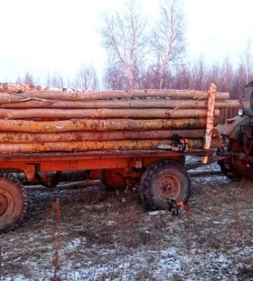 Мотопомпи, приладдя для незаконного видобутку бурштину, порубка лісу: на Рівненщині документують злочини у сфері довкілля (ФОТО)
