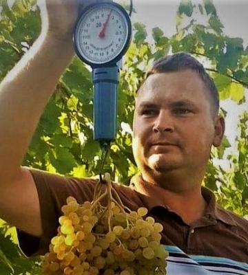 Мешканець Полісся виростив понад 70 сортів винограду