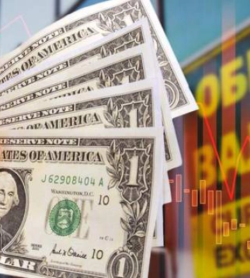 За якої умови НБУ готовий відпустити курс долара