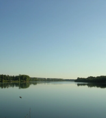 В Харькове водохранилище незаконно использовали для разведения рыбы