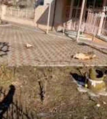 Наслідки обстрілу Херсону зранку 8 лютого. ФОТОрепортаж