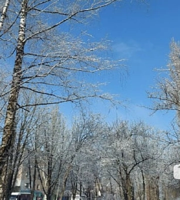 Погода у Кривому Розі 9 лютого