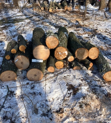 На Сумщині у ландшафтному парку спіймали нелегального лісоруба