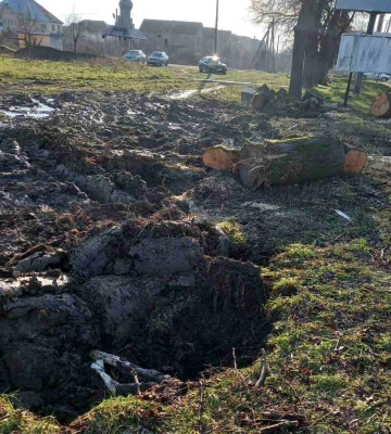 За несанкціоновану рубку дерев в передмісті Ужгорода двох посадових осіб притягнуто до відповідальності