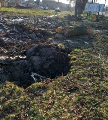 За несанкціоновану рубку дерев в передмісті Ужгорода двох посадових осіб притягнуто до відповідальності