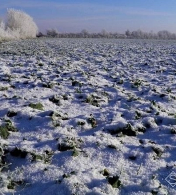 Гімназії на Полтавщині повернули землі вартістю понад 41 млн грн