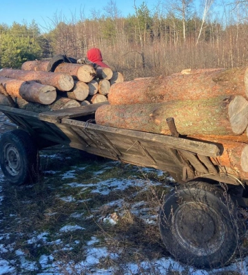 На півночі Рівненщини спіймали незаконних лісорубів