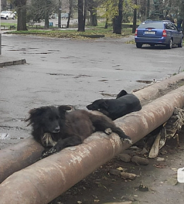 Теплоцентраль виставила жителям Кривого Рогу рахунки за опалення
