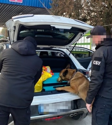 Тривають обшуки по всій вертикалі митниці