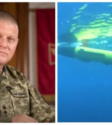 Залужный подтвердил использование РФ морских дронов