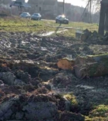 За несанкціоновану рубку дерев в передмісті Ужгорода двох посадових осіб притягнули до відповідальності