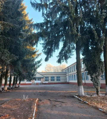 Ліцей у Луцькому районі відремонтують до квітня