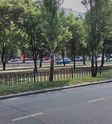 У Миколаєві спиляні по проспекту Центральному тополі спрямовували не лише на потреби армії, а й для опалення лікарень та&amp;hellip;