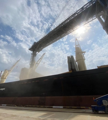 Україна вводить нові правила для морського експорту зерна