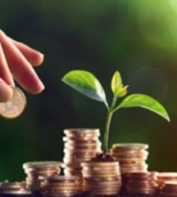 Аграрії Закарпаття отримають гранти на виробництво від ЄС