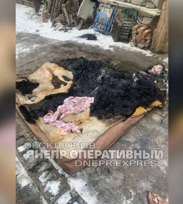 У Дніпрі неадекватна жінка двічі підпалила будинок