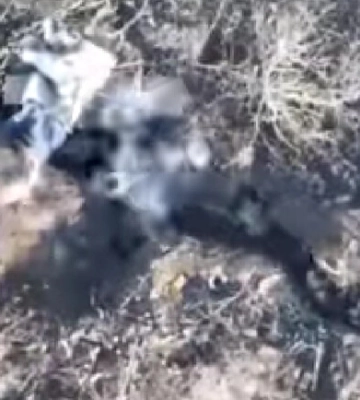 Дніпровські бійці показали, як знищують окупантів, що заховалися в окопах (відео)