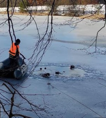 У селі на Хмельниччині рятувальники дістали з водойми тіла двох рибалок, - ДСНС