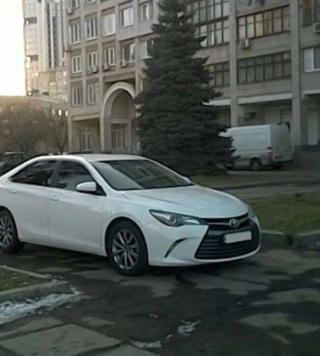 У Дніпрі показали топ-5 порушників паркування за минулий тиждень (Фото)