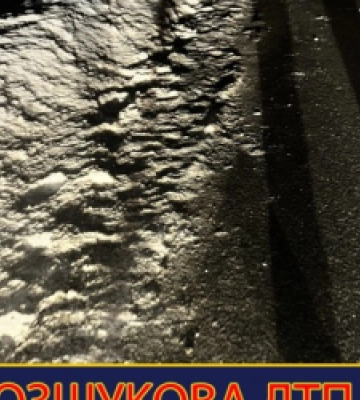 На Львівщині поліцейські розшукують водія, який збив на смерть 50-річного чоловіка та втік з місця ДТП