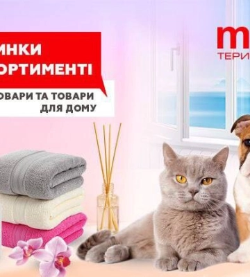 Новий формат торгівлі  - сімейний шопінг