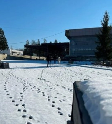 Розв’язати проблему з чергами на кордоні та розвантажити пункт пропуску «Ужгород – Вишнє Нємецьке»
