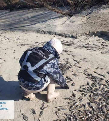 На Запоріжжі зафіксована масштабна загибель риби