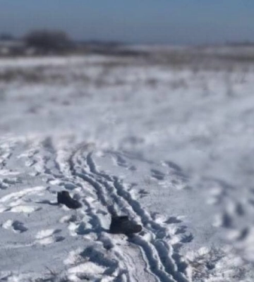 Під Києвом чоловік жорстоко вбив товариша та кинув тіло у полі